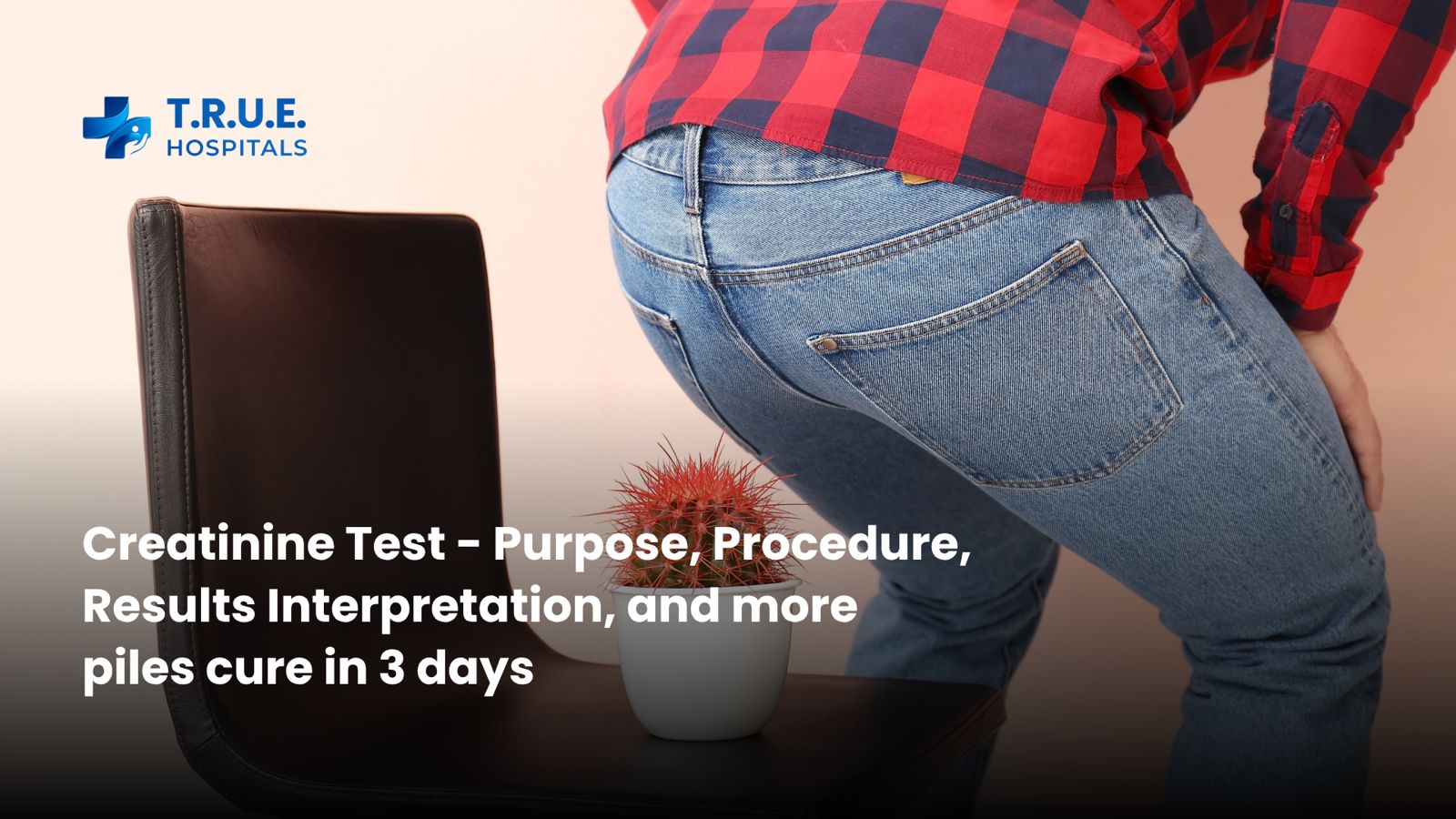 Creatinine Test – Purpose, Procedure, Results Interpretation, and more